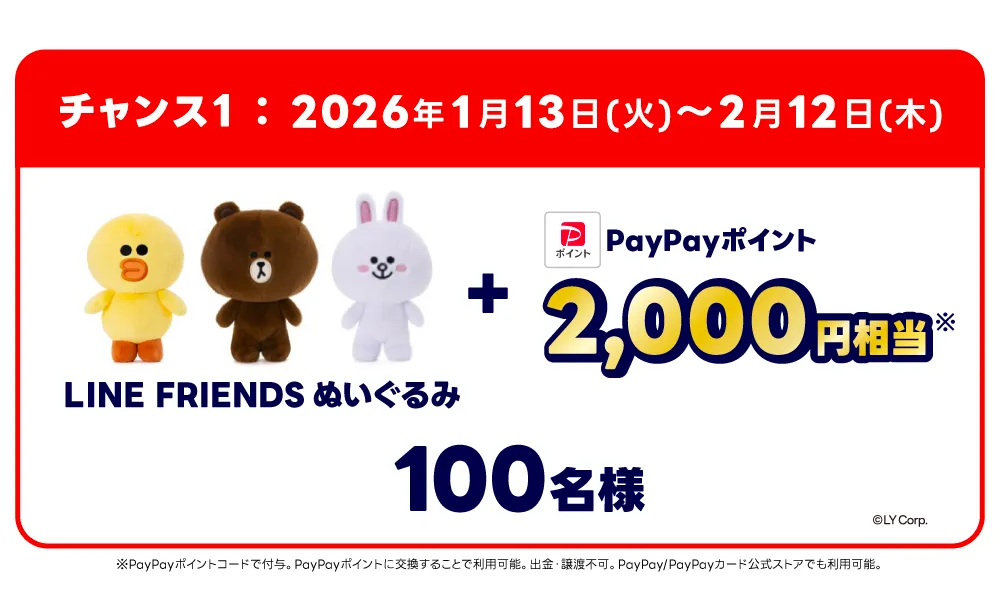 PayPayポイント2,000円相当+LINE FRIENDSぬいぐるみ