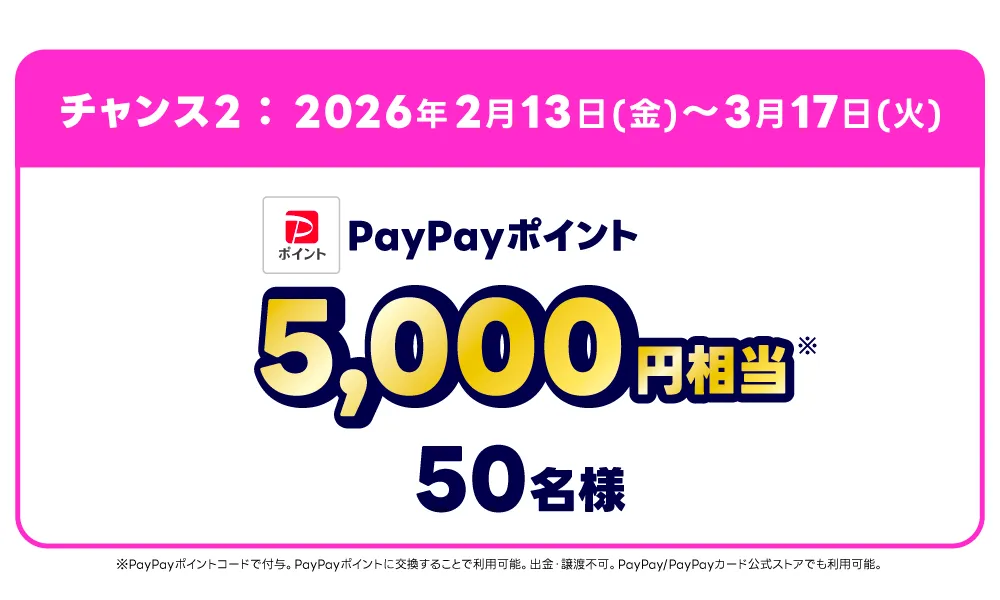 PayPayポイント5,000円相当
