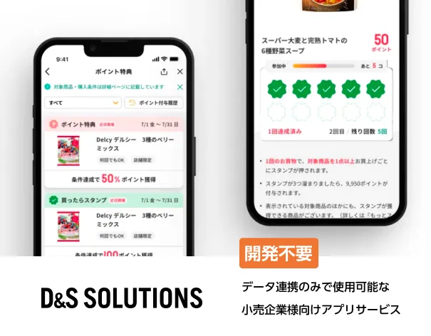D&Sソリューションズ株式会社